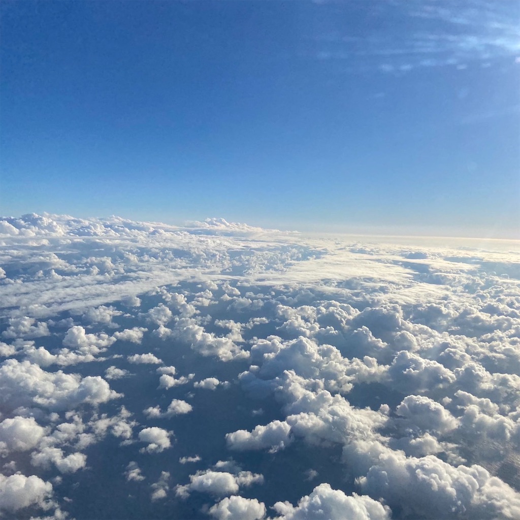 f:id:keikostyle:20211031191152j:image f:id:keikostyle:20211031191152j:image