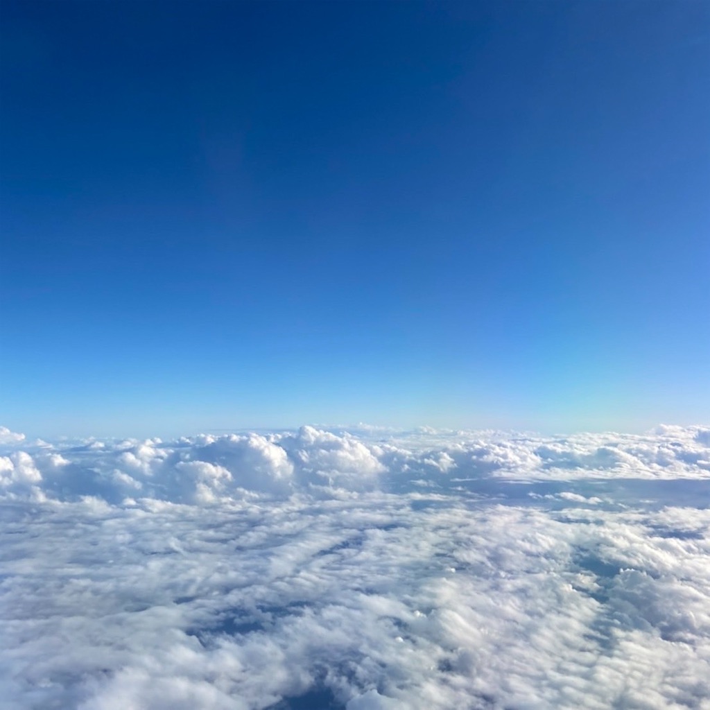 f:id:keikostyle:20211031191157j:image f:id:keikostyle:20211031191157j:image