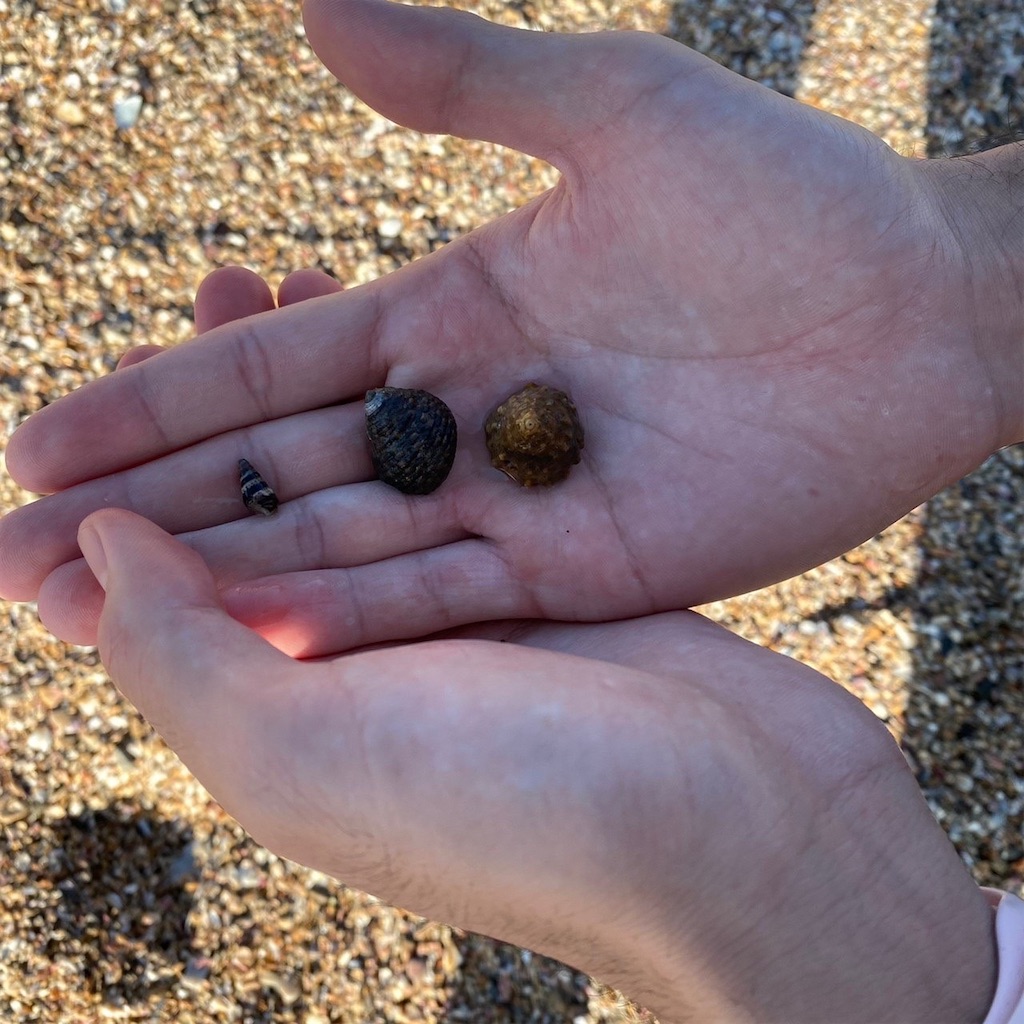 f:id:keikostyle:20211031194535j:image f:id:keikostyle:20211031194535j:image