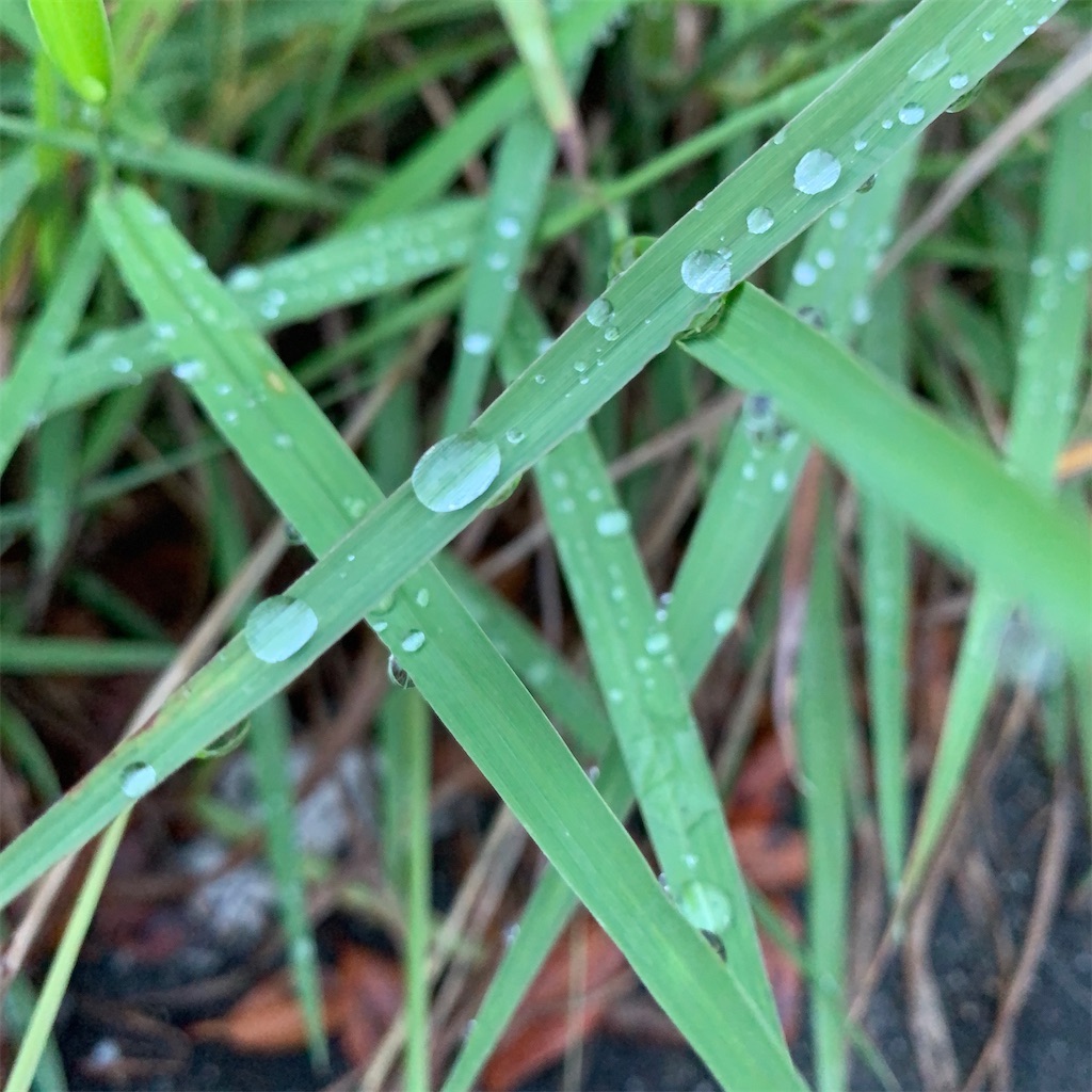 f:id:keikostyle:20211031201052j:image