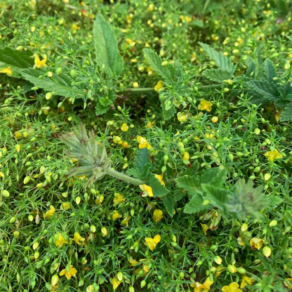 f:id:keikostyle:20211031201108j:image