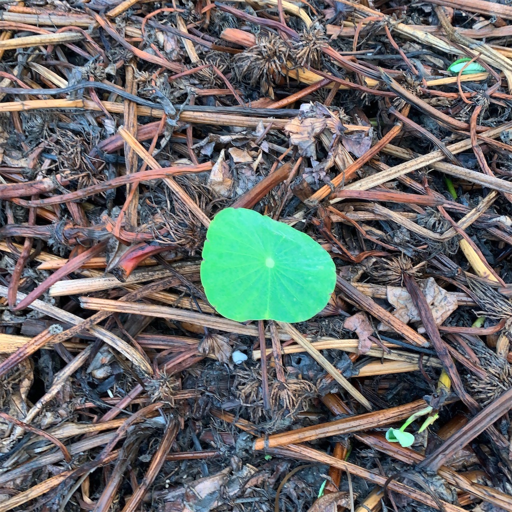 f:id:keikostyle:20211031201110j:image