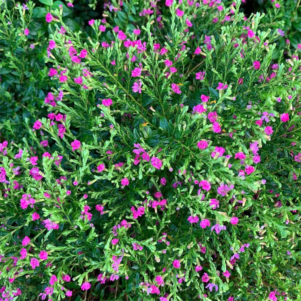 f:id:keikostyle:20211031201130j:image