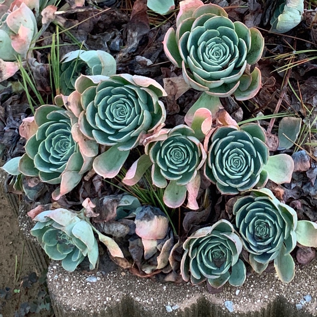 f:id:keikostyle:20211031201147j:image