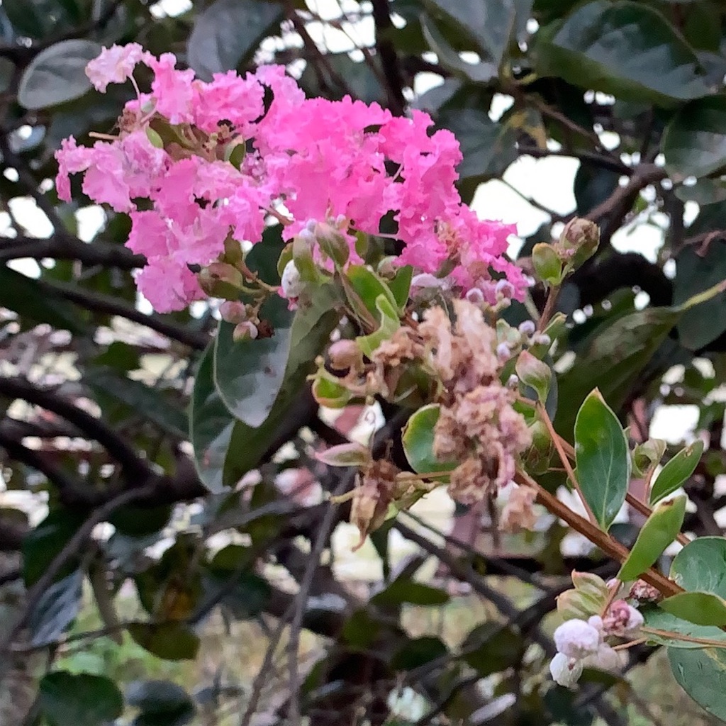 f:id:keikostyle:20211031202310j:image