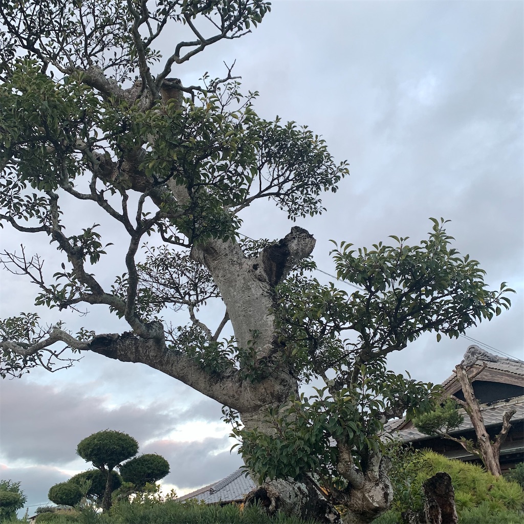 f:id:keikostyle:20211109065413j:image