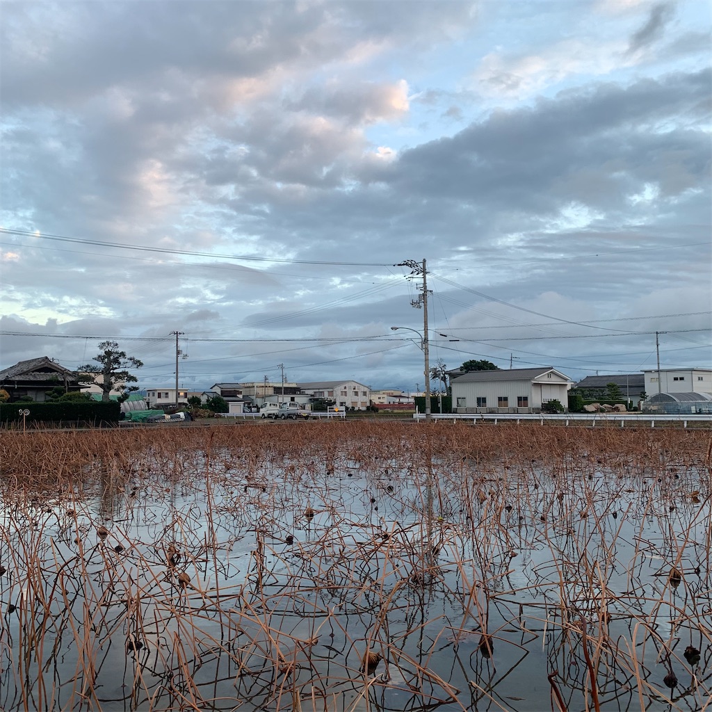 f:id:keikostyle:20211109065426j:image