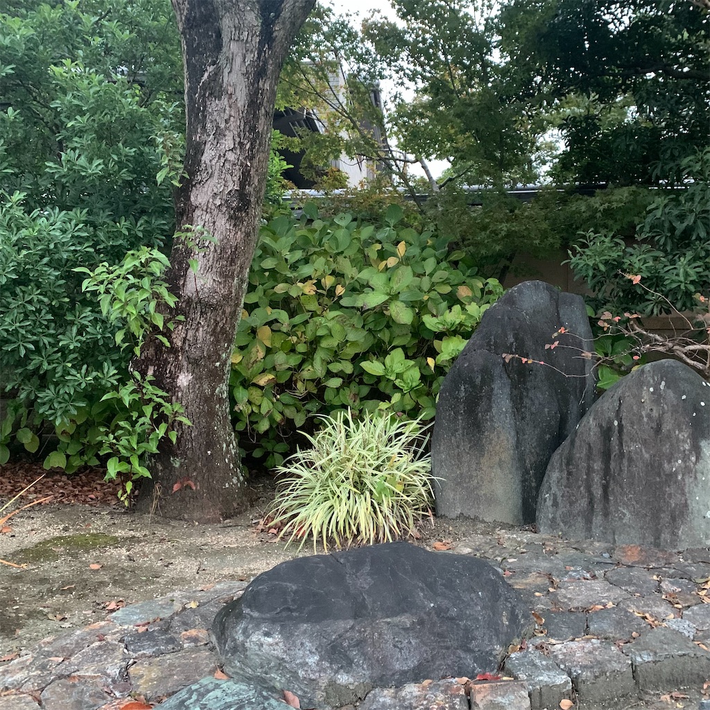 f:id:keikostyle:20211109065440j:image