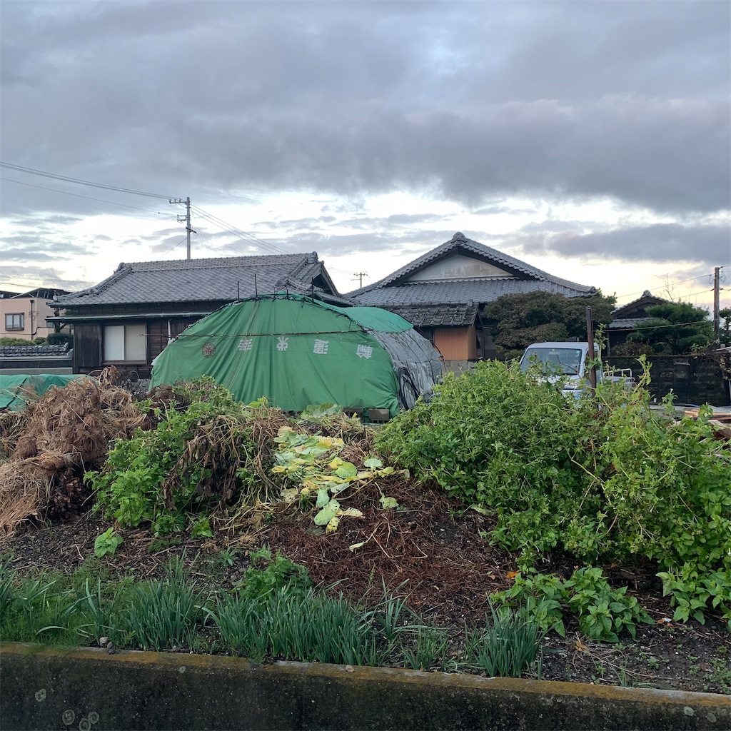 f:id:keikostyle:20211109065451j:image