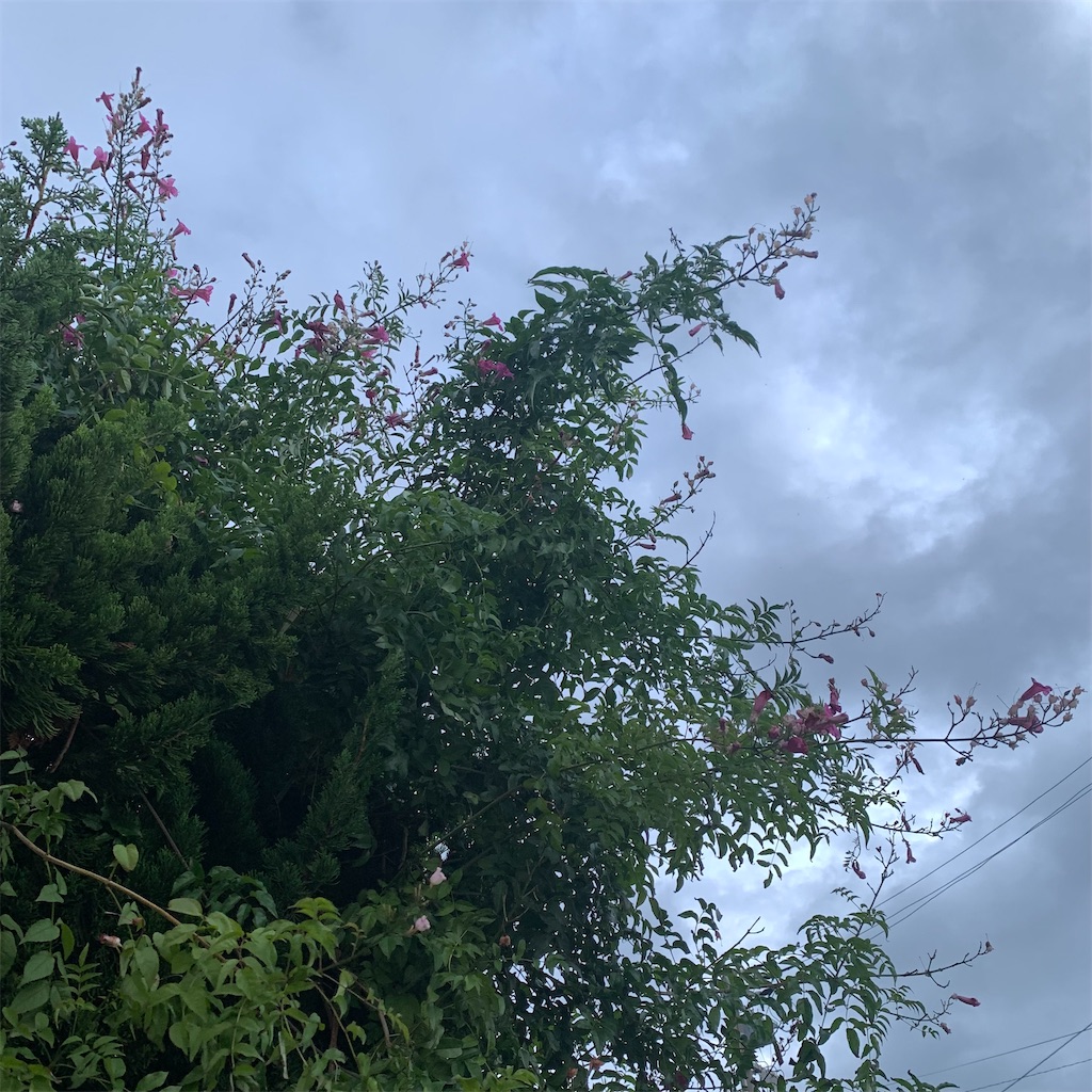 f:id:keikostyle:20211109065505j:image