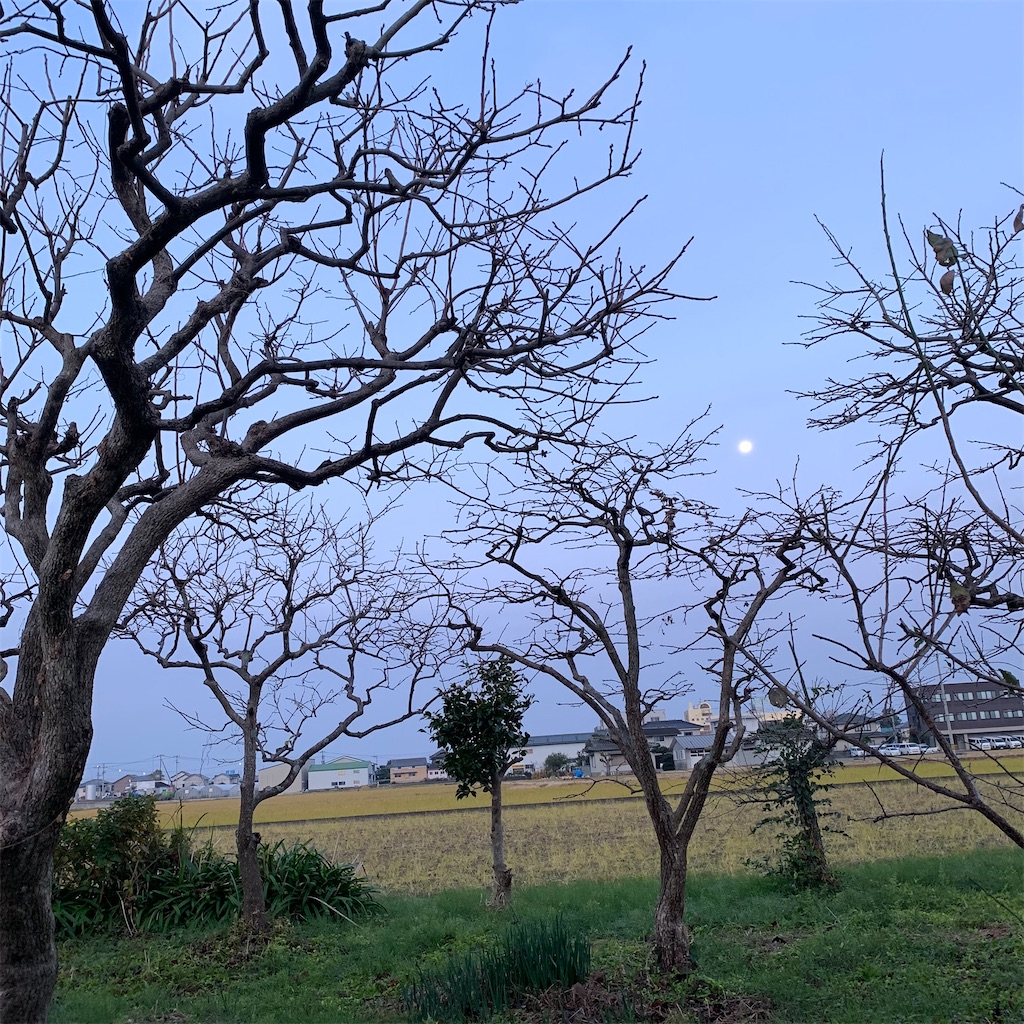 f:id:keikostyle:20211121065941j:image