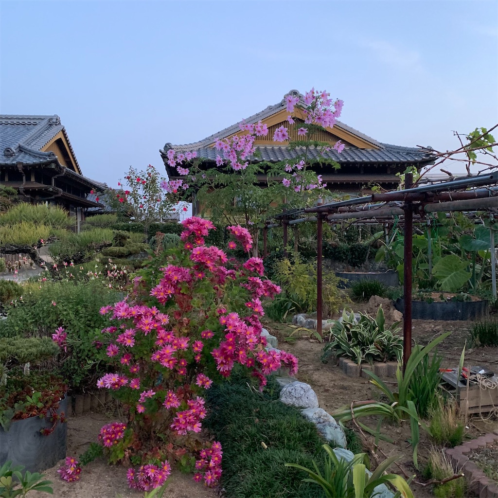 f:id:keikostyle:20211121065946j:image