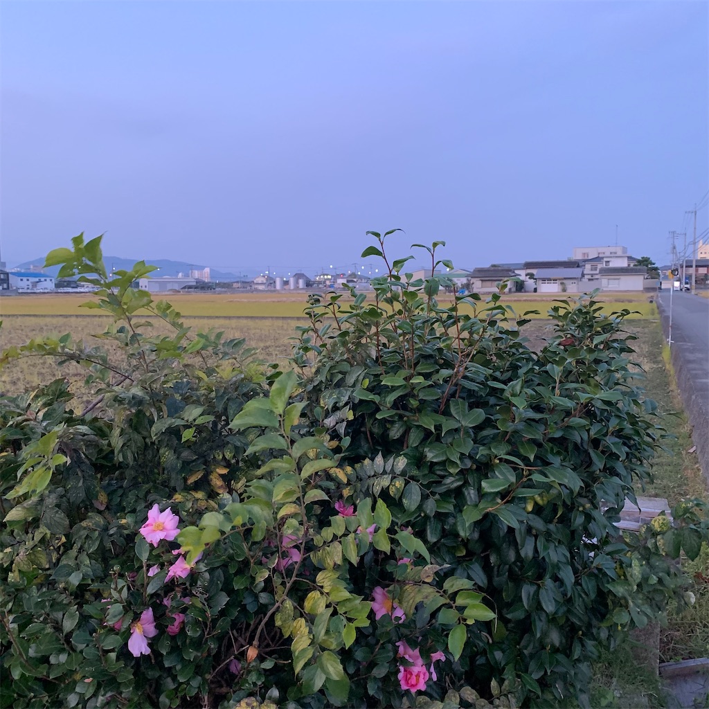 f:id:keikostyle:20211121070015j:image