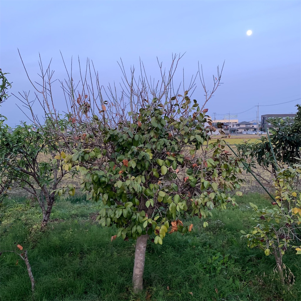 f:id:keikostyle:20211121070020j:image