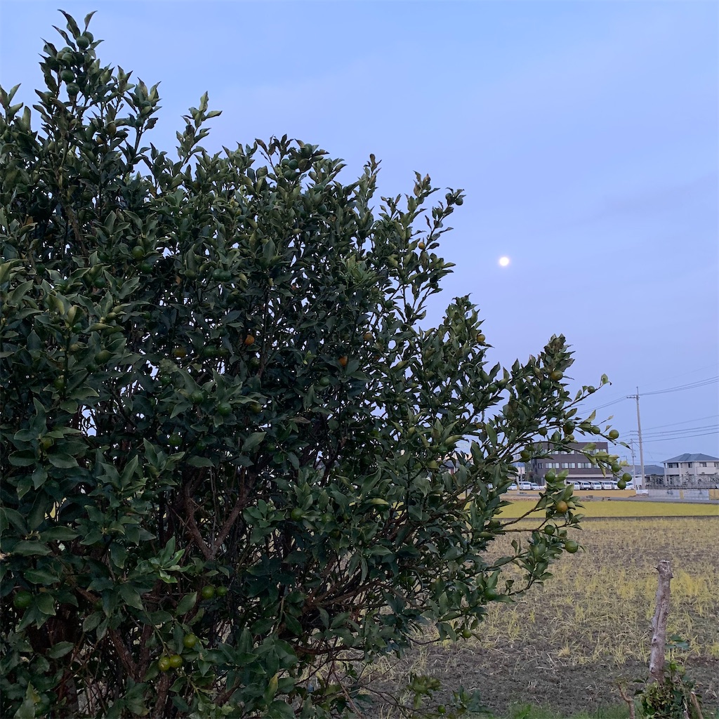 f:id:keikostyle:20211121070024j:image