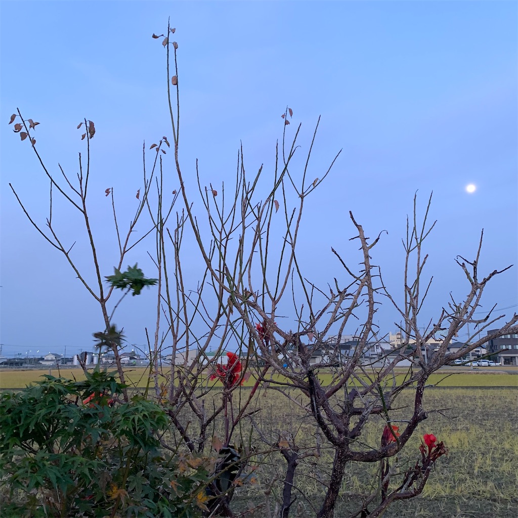 f:id:keikostyle:20211121070029j:image