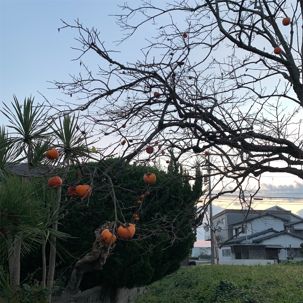 f:id:keikostyle:20211121070052j:image