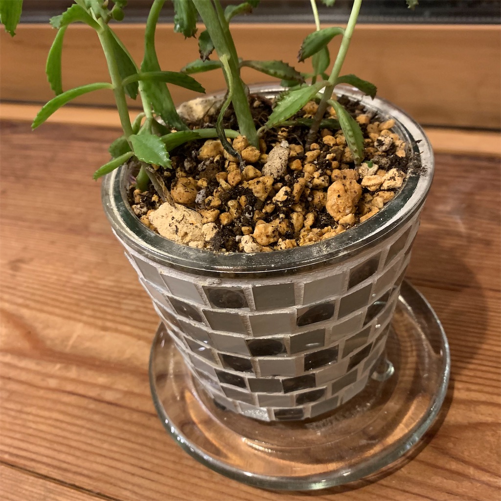 f:id:keikostyle:20211122175404j:image