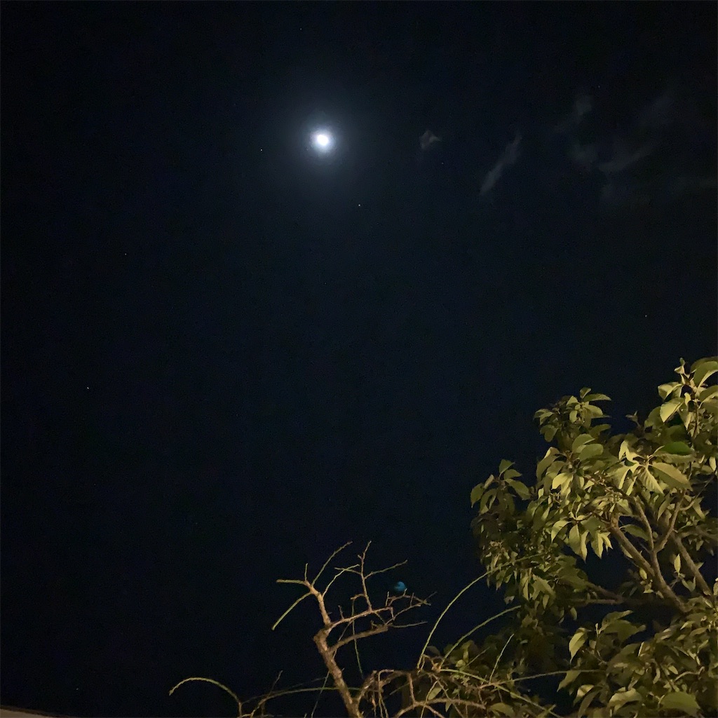 f:id:keikostyle:20211127051030j:image
