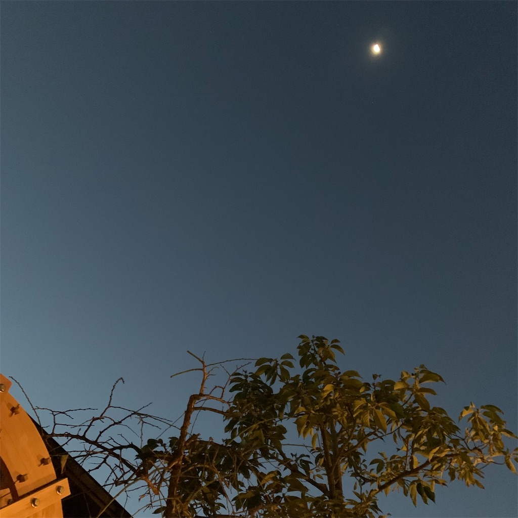 f:id:keikostyle:20211127064550j:image