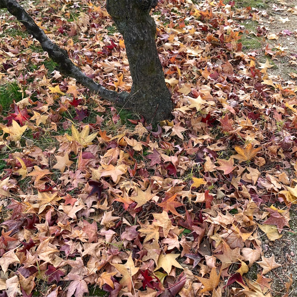 f:id:keikostyle:20211127165911j:image