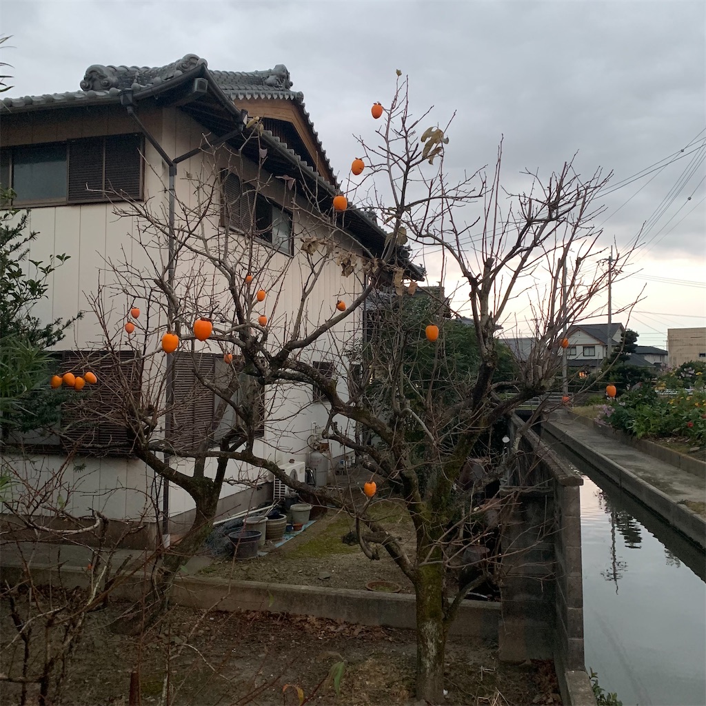 f:id:keikostyle:20211207072658j:image