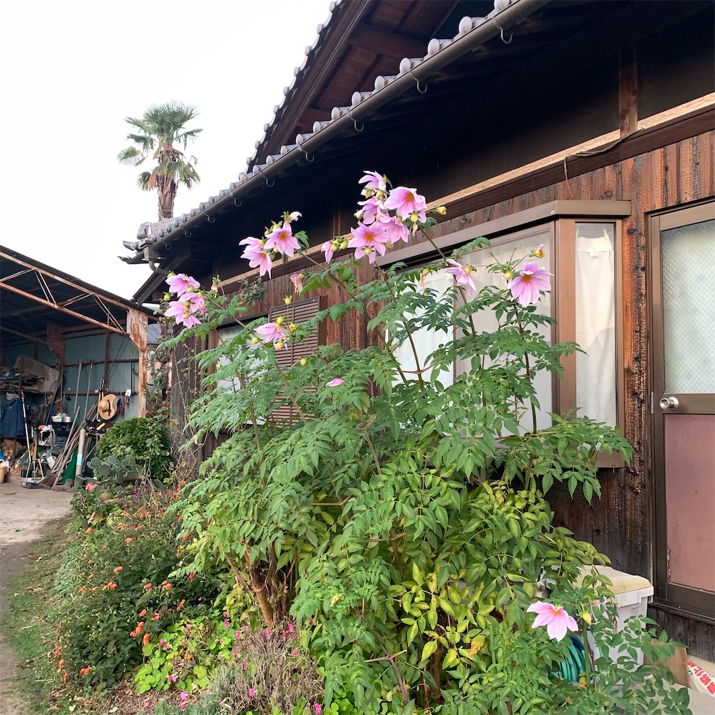 f:id:keikostyle:20211211071542j:image