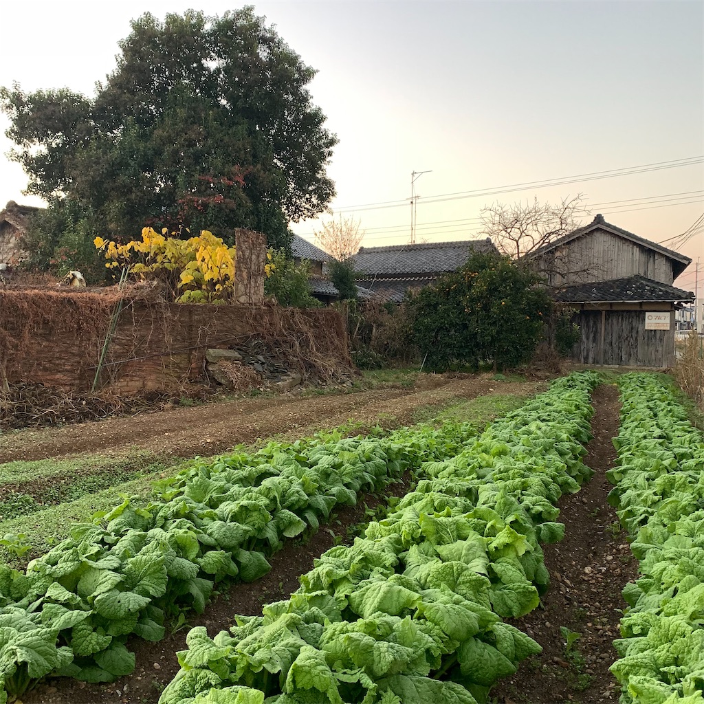 f:id:keikostyle:20211211071544j:image