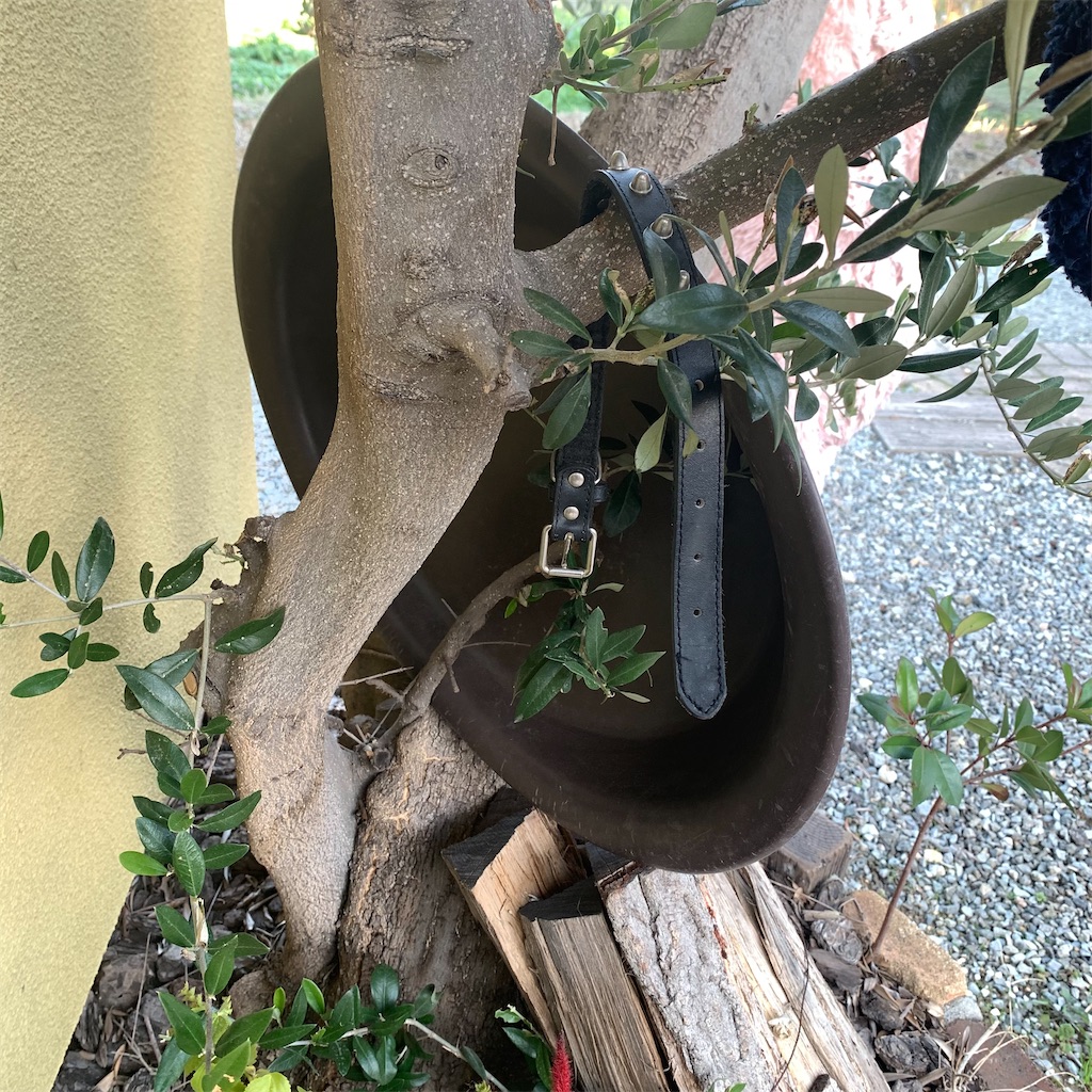 f:id:keikostyle:20211211151206j:image