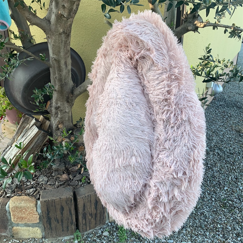 f:id:keikostyle:20211211151208j:image