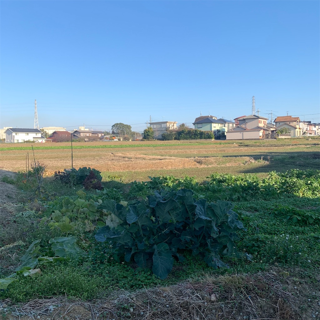 f:id:keikostyle:20211211155223j:image