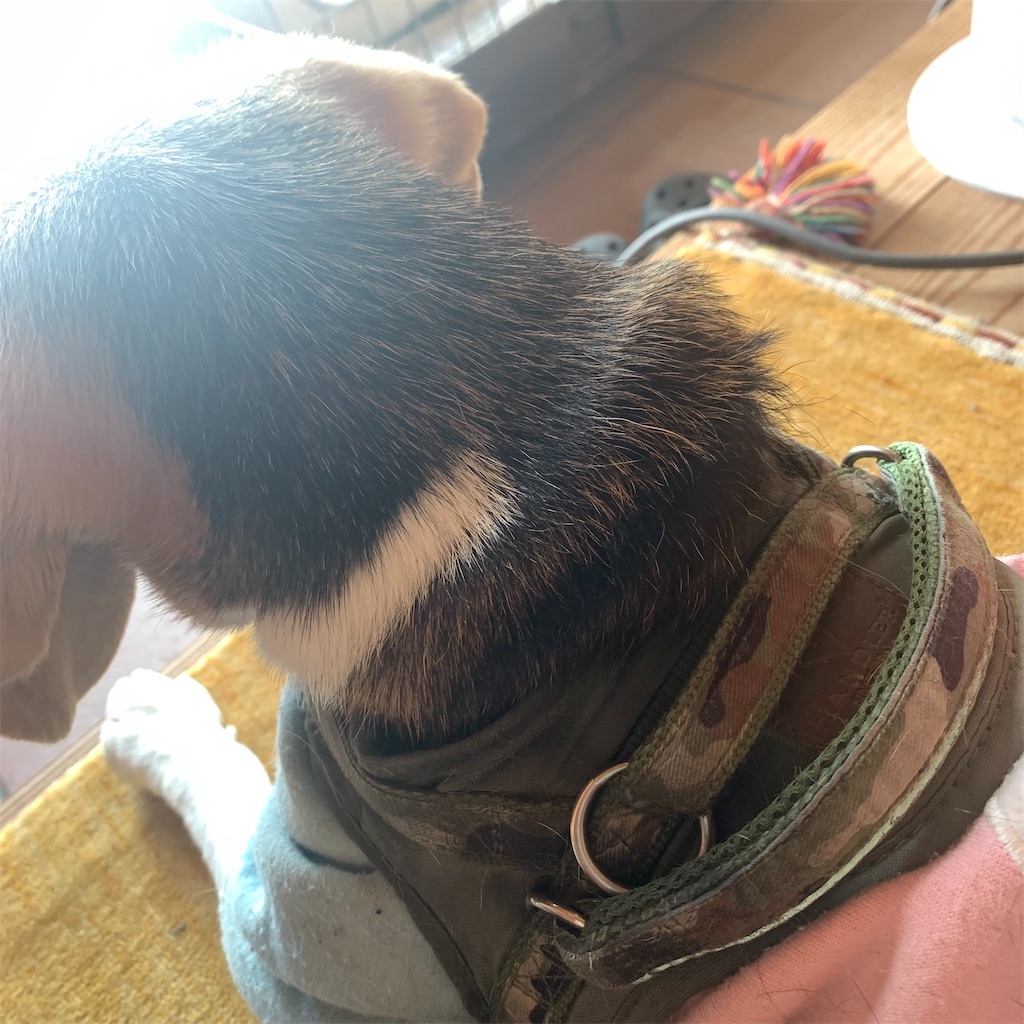 f:id:keikostyle:20211214103301j:image