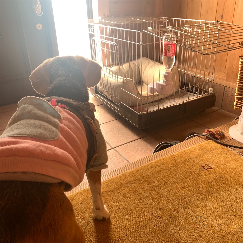 f:id:keikostyle:20211214103314j:image