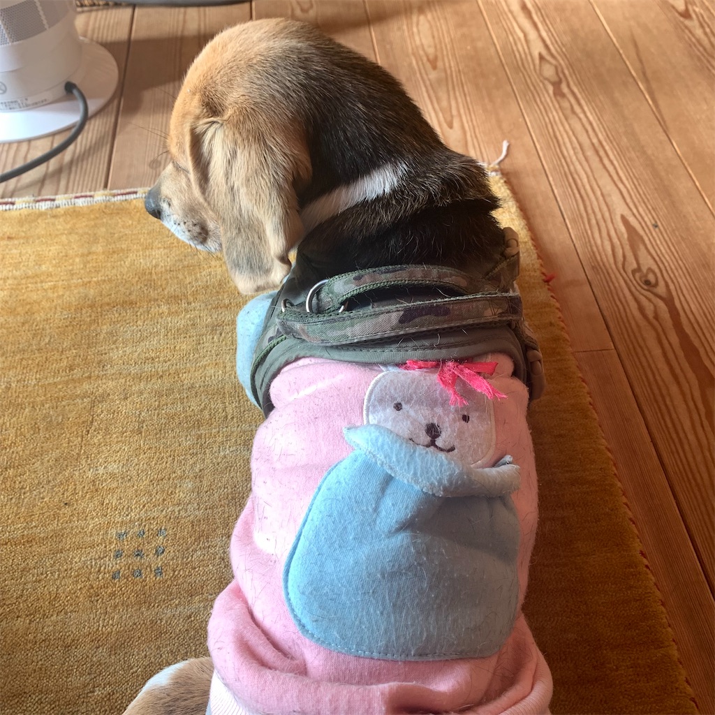 f:id:keikostyle:20211214103322j:image