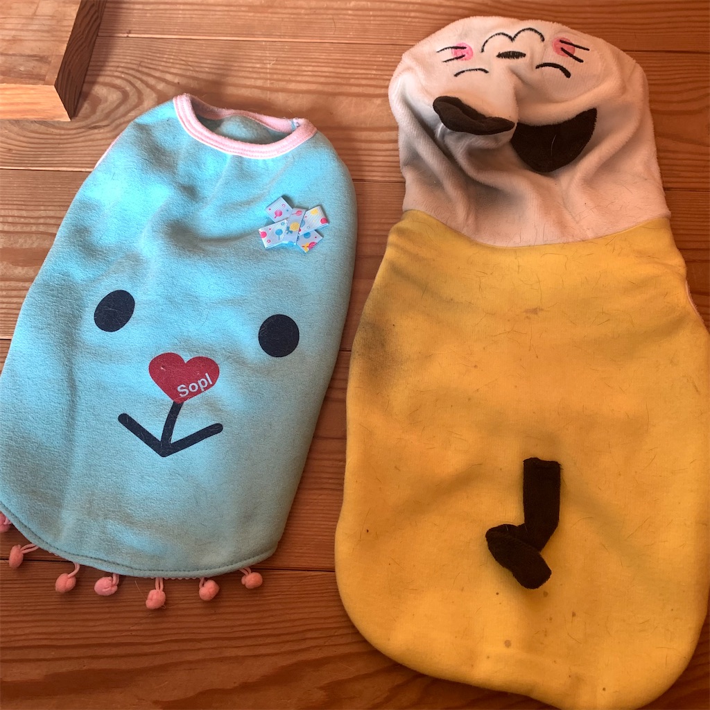 f:id:keikostyle:20211214103411j:image