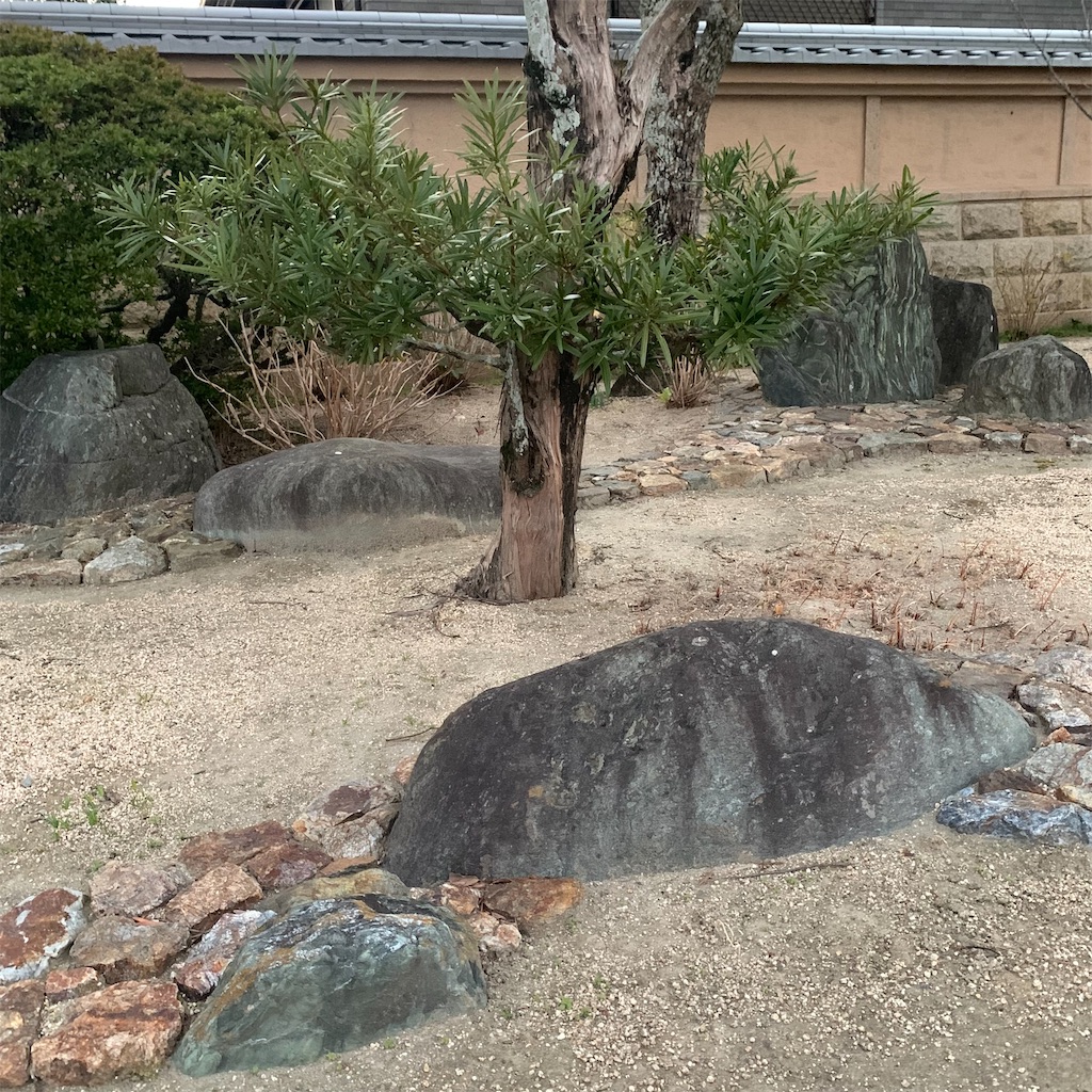 f:id:keikostyle:20211229073505j:image