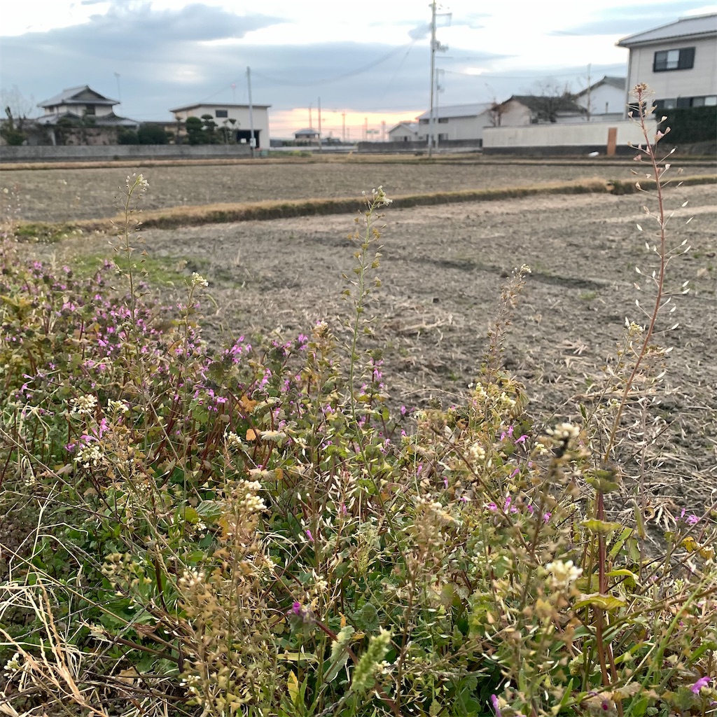 f:id:keikostyle:20211229073517j:image