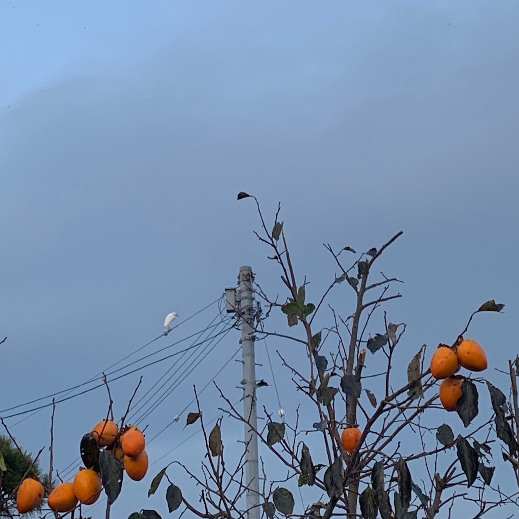 f:id:keikostyle:20220102211905j:image