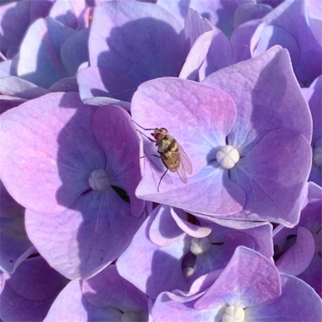 f:id:keikostyle:20220102212012j:image