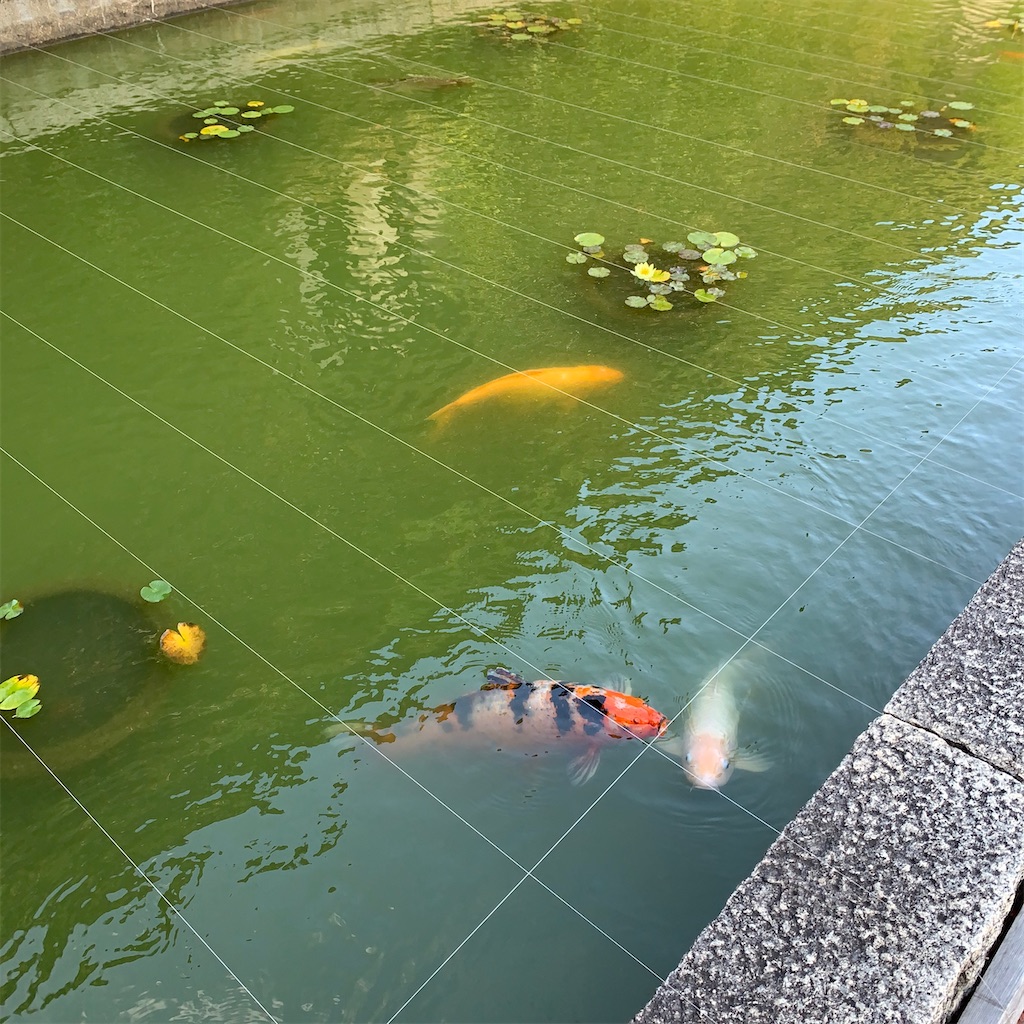 f:id:keikostyle:20220102212017j:image