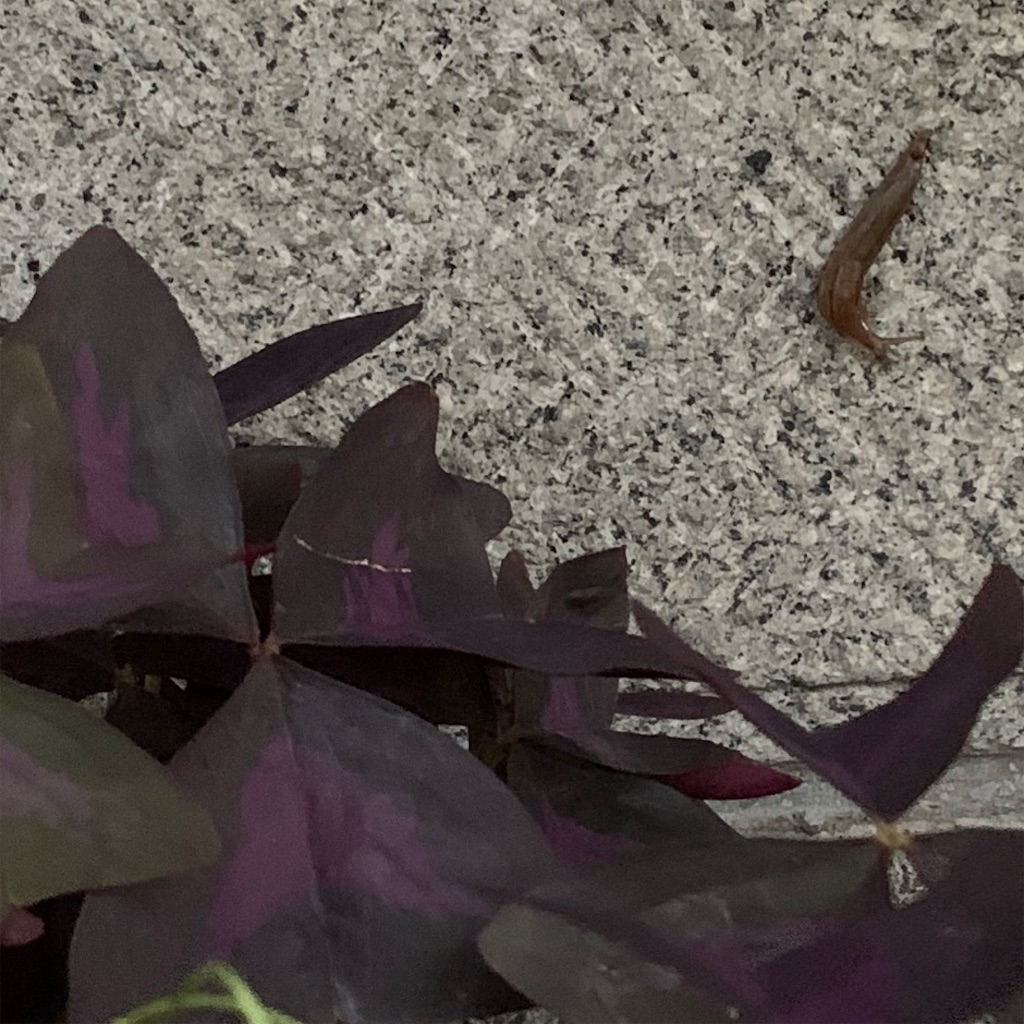 f:id:keikostyle:20220102212424j:image