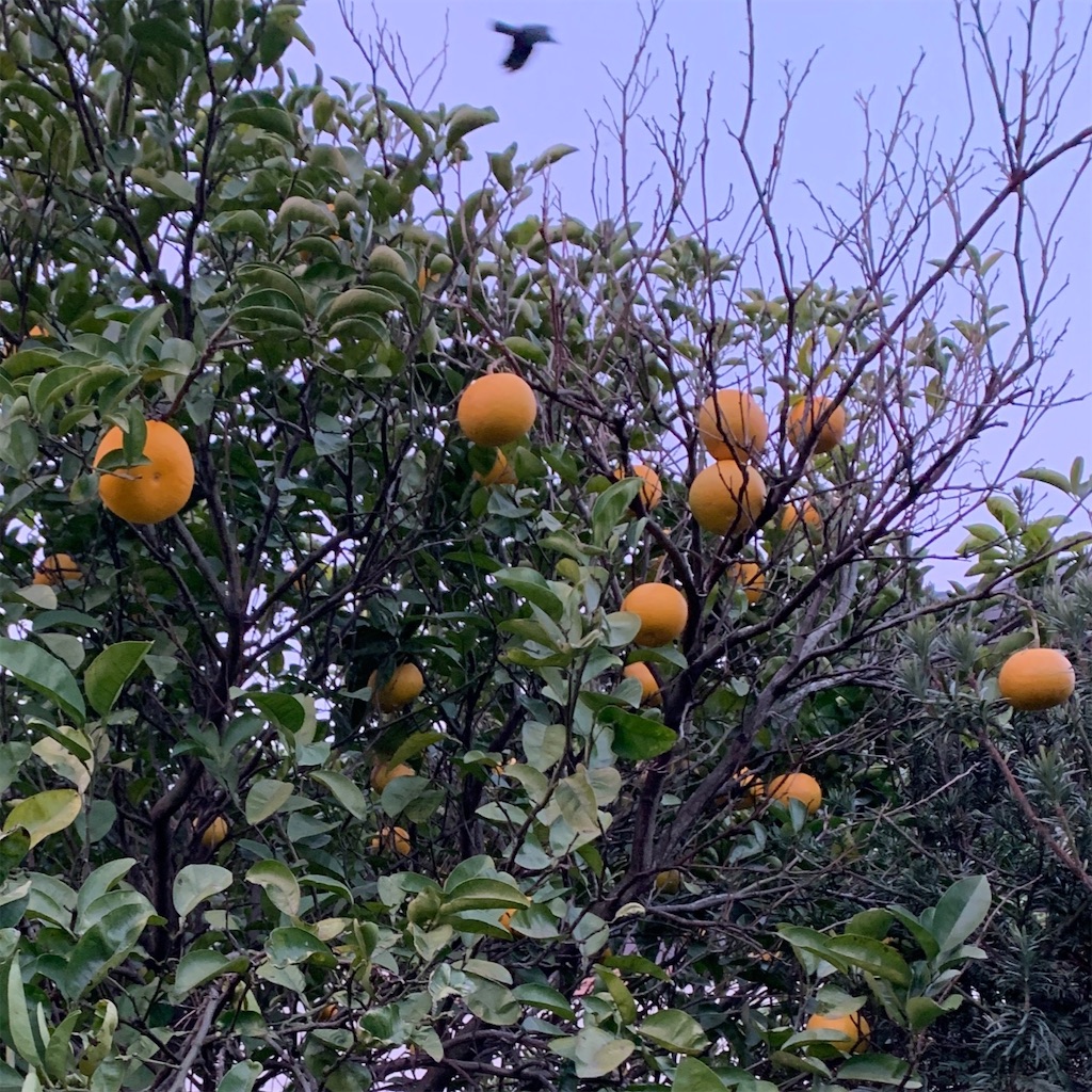f:id:keikostyle:20220102212436j:image