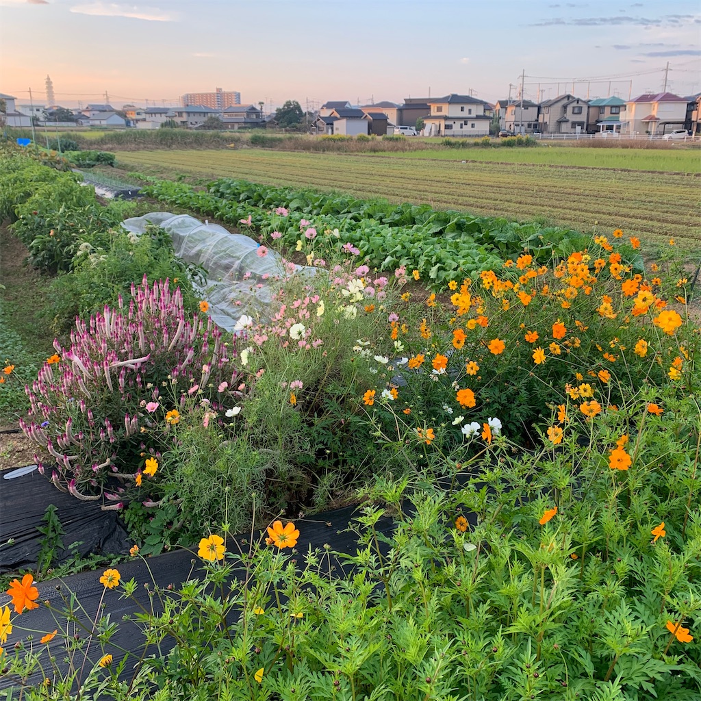 f:id:keikostyle:20220103054050j:image