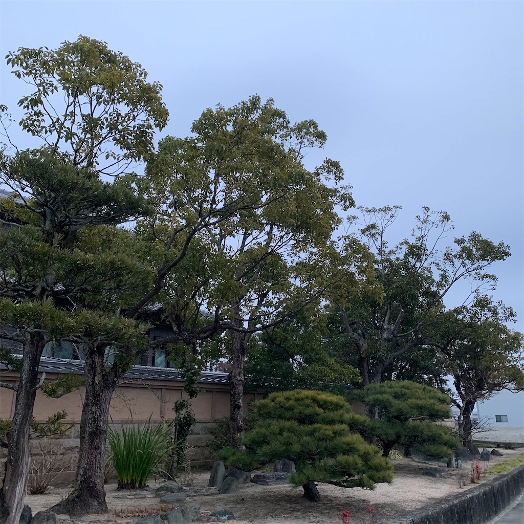 f:id:keikostyle:20220203073002j:image