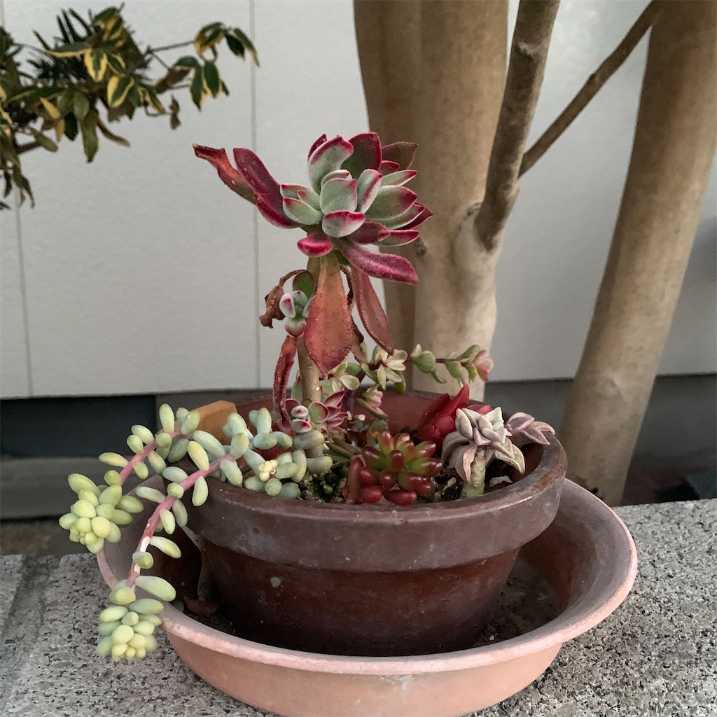 f:id:keikostyle:20220206071648j:image