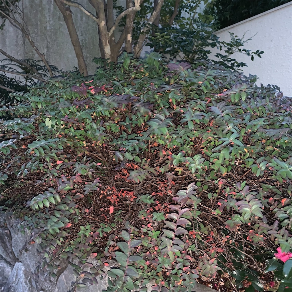 f:id:keikostyle:20220214070848j:image