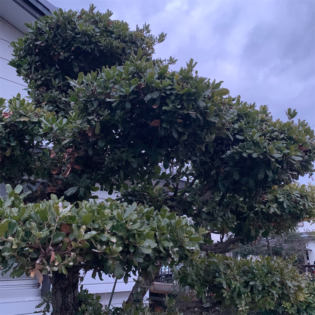 f:id:keikostyle:20220214070909j:image