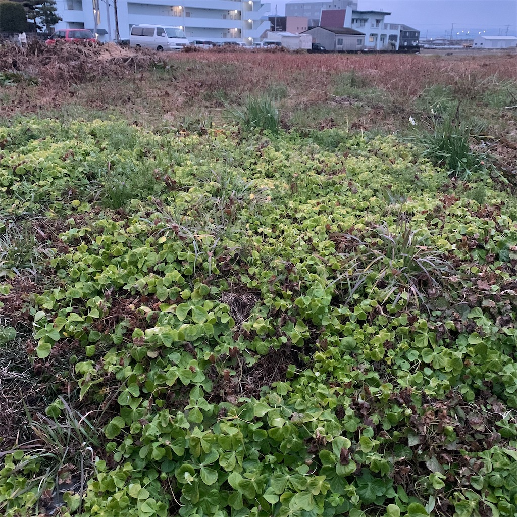 f:id:keikostyle:20220214070930j:image