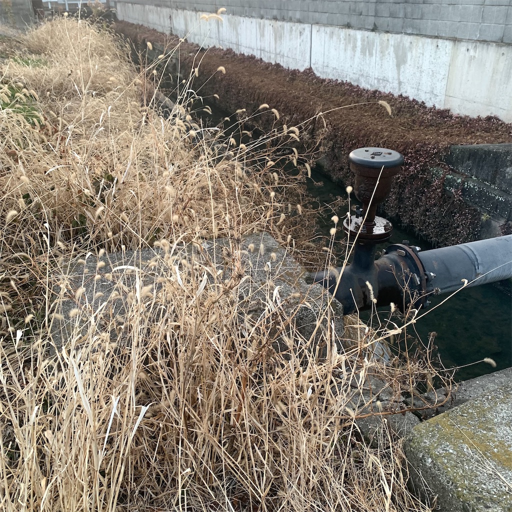 f:id:keikostyle:20220215070552j:image