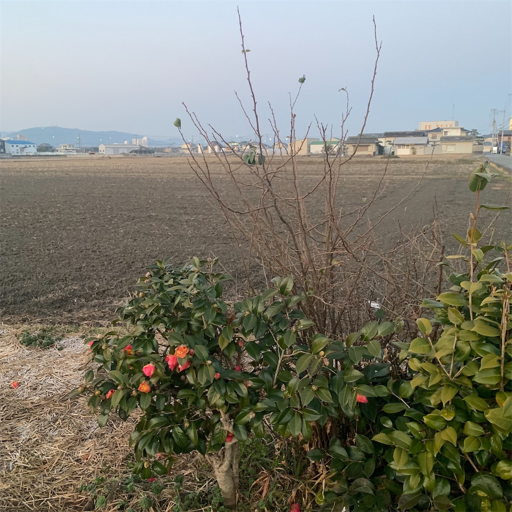 f:id:keikostyle:20220215070643j:image